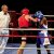 Evenements � Boxe WBC - 7 Novembre 2010